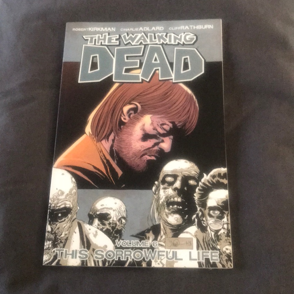 THE WALKING DEAD COMIC BOOK - VOL. 6